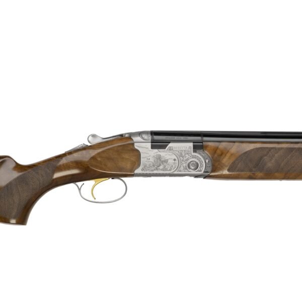 687SilverPigeonIIIRHc.jpg 687 Silver Pigeon III